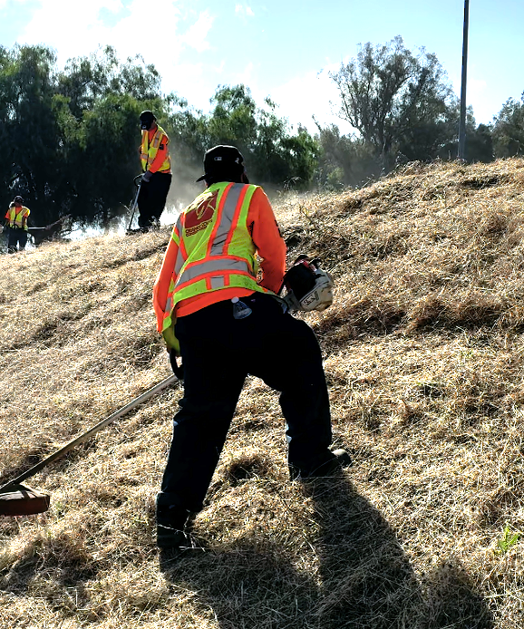 OCCC crew clearing a dry grass hillside with weed whackers, sunlit dust rising