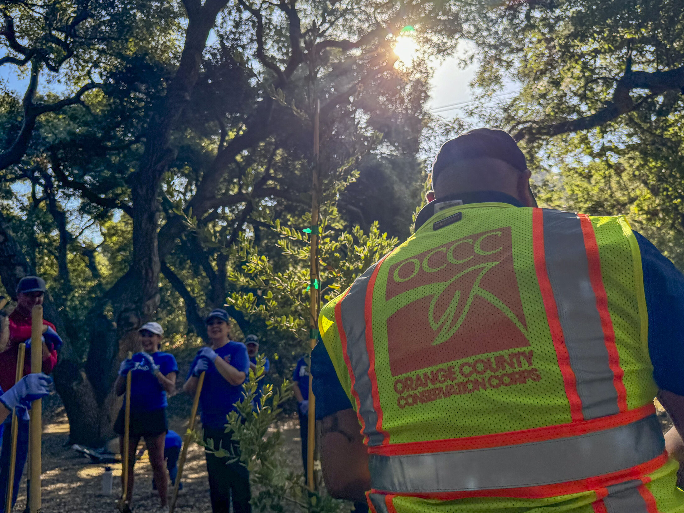 Sunlight through oak canopy over a corpsmember in an OCCC safety vest